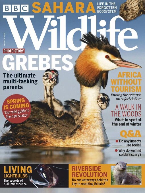 Title details for BBC Wildlife Magazine by Our Media Limited - Available